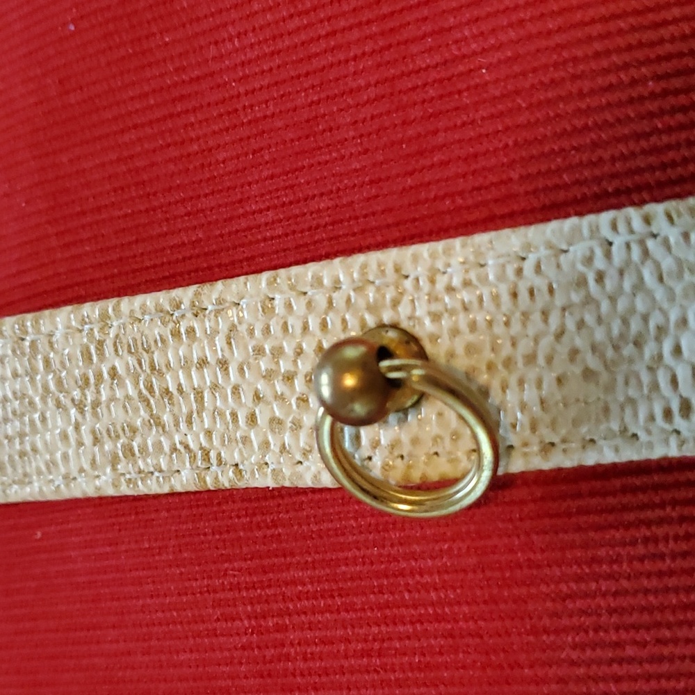 Dog collar snake pattern size 16